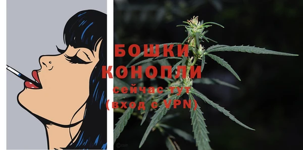 гидра Богданович
