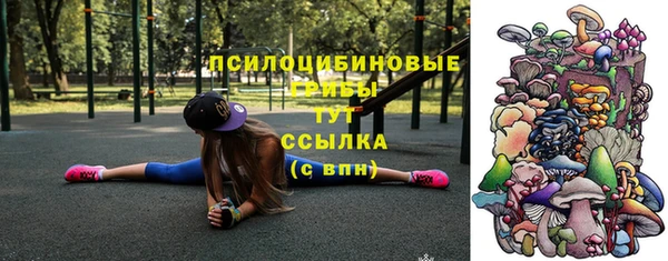 наркотики Белокуриха
