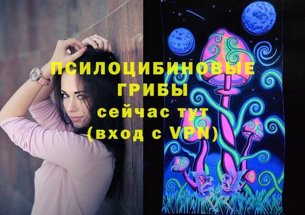 наркотики Белокуриха