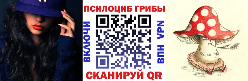 Галлюциногенные грибы Cubensis omg ССЫЛКА Балахна